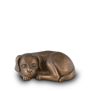UGK 221 - slapend hondje urn geert kunen - Dierencrematorium Heerhugowaard